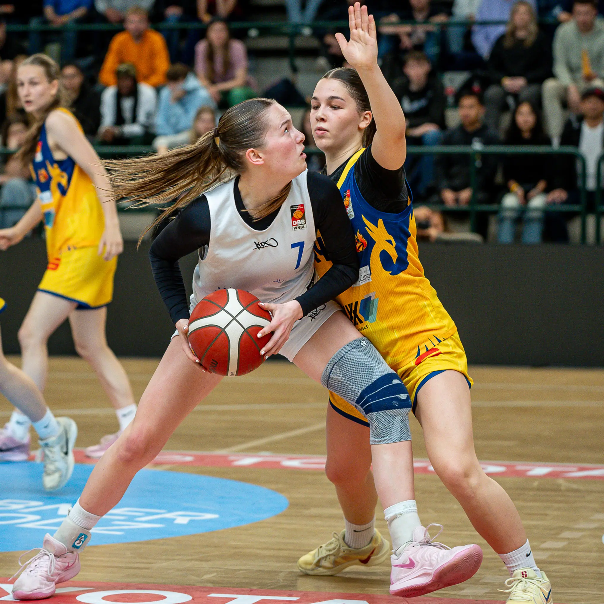 Basketball Gr. 6 | B6G4550-DBB - Image 5