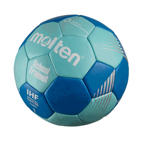 School TraineR Handball Gr.1 | H1F-ST - Image 3